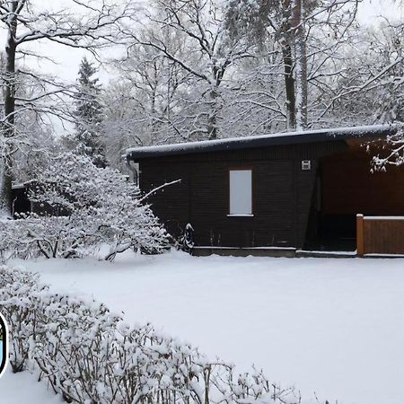 Glamping Kromlau Gablenz Exteriér fotografie